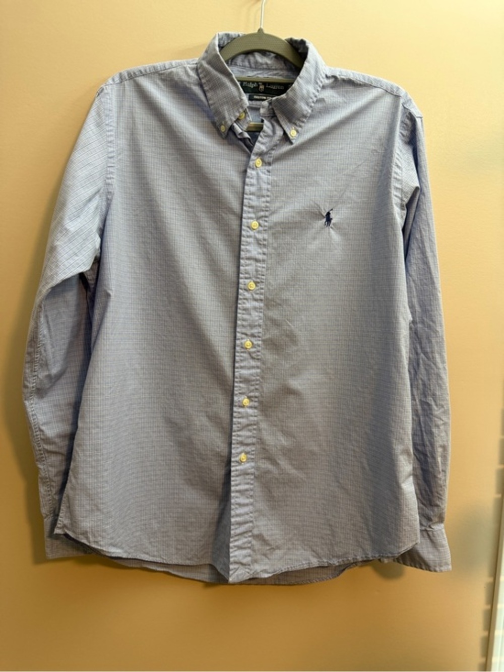 Ralph Lauren Light Blue Micro-Check Button-Down Shirt